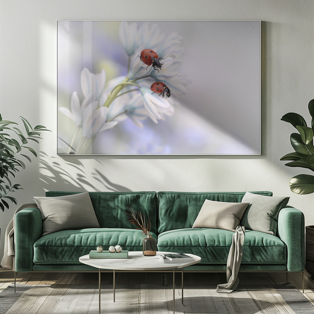 Artwork Ladybirds20X16inches- White Frame