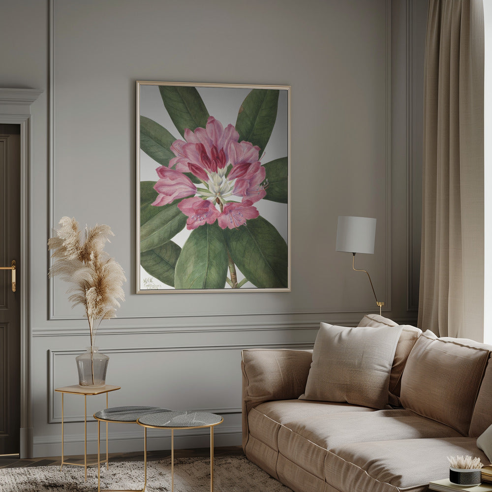 Mountain Rose Bay (1932) Wall Artwork 0