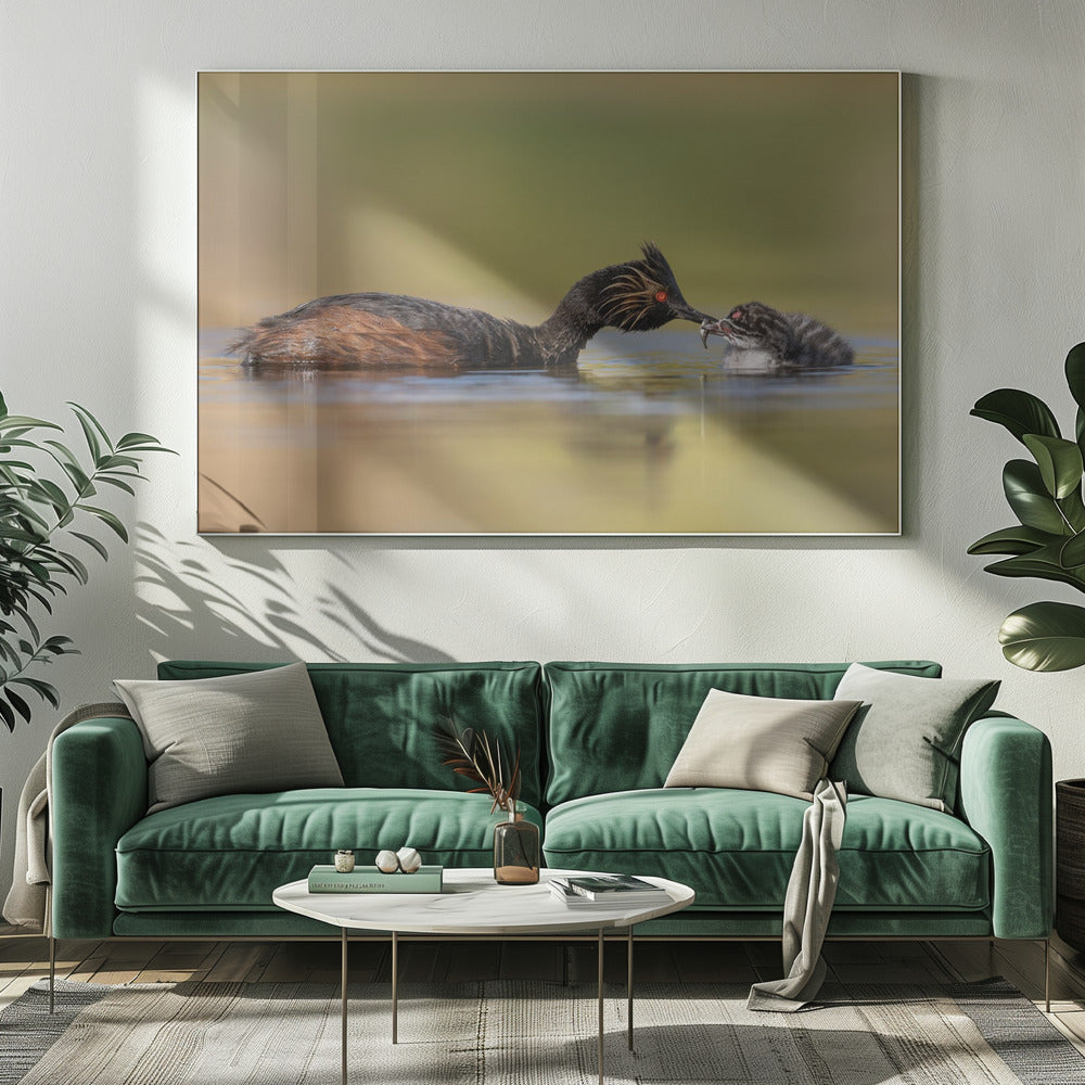 canvas prints Feeding20X16inches- White Frame