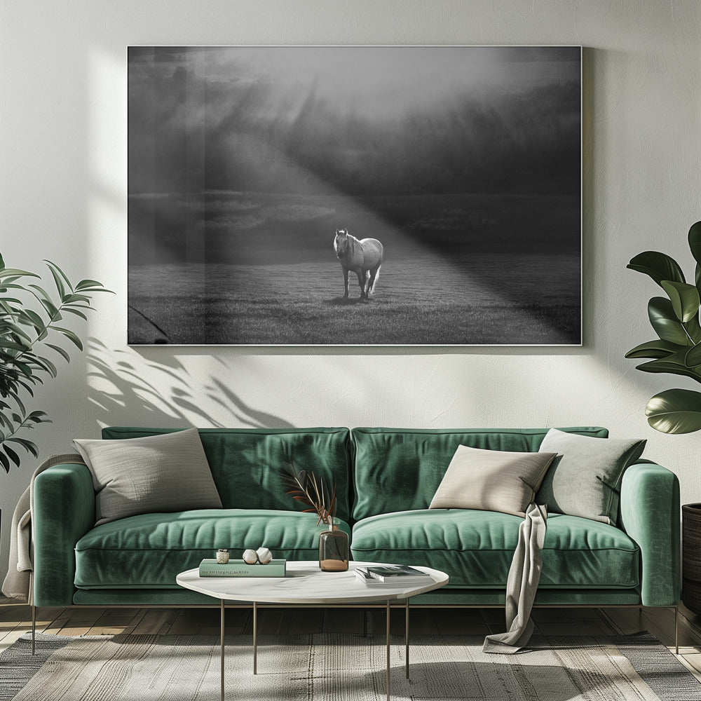 Artwork morning appearance. Hourses20X16inches- White Frame