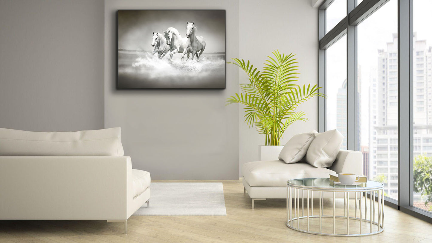 Black and White Stallions - Animal Print Canvas-Fine Art