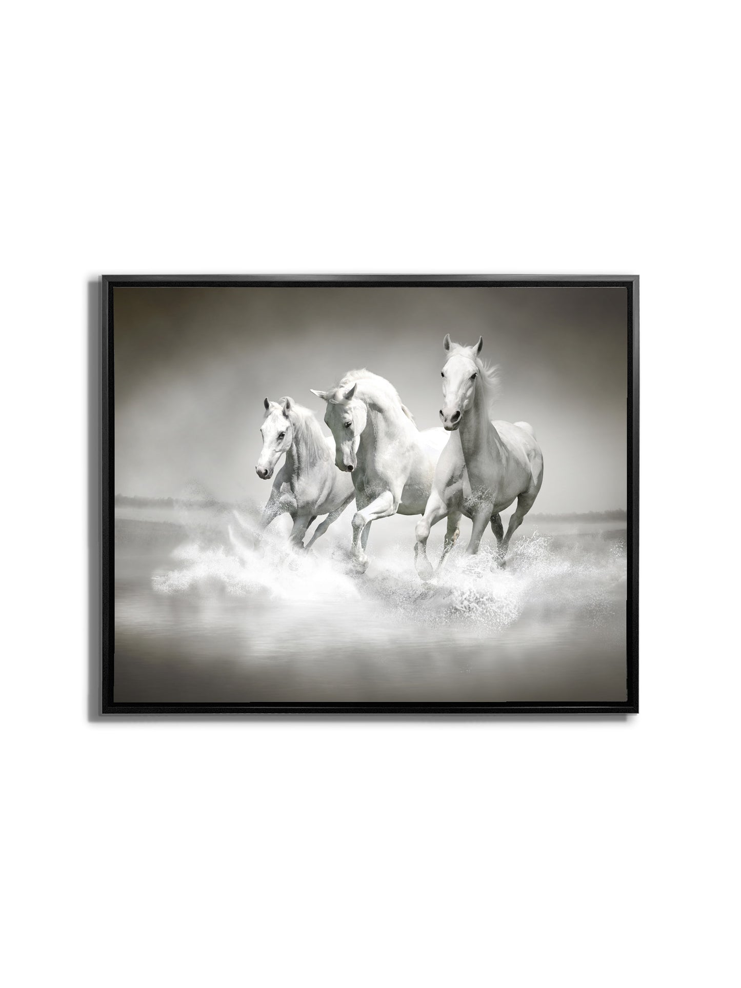 Black and White Stallions - Animal Print Canvas-Fine Art