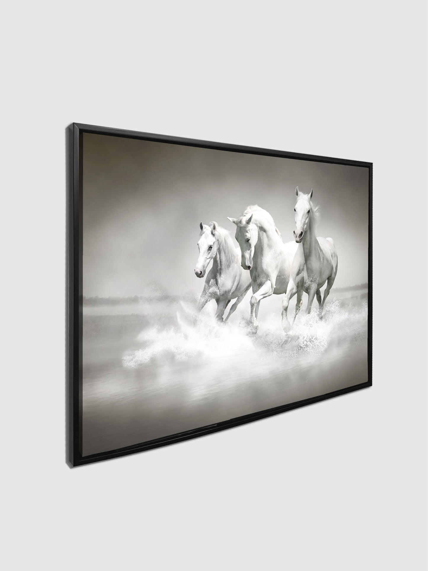 Black and White Stallions - Animal Print Canvas-Fine Art