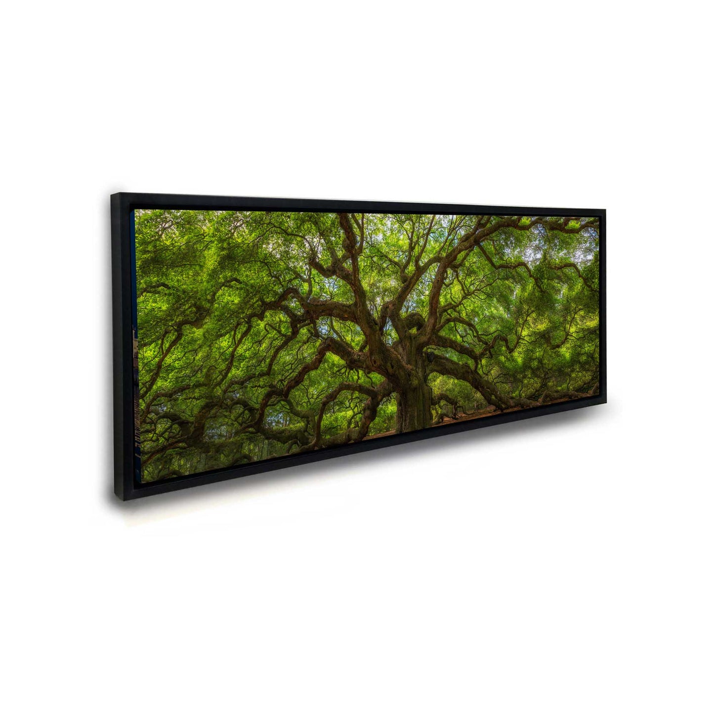 Angel Tree 72" x 24" Fine Art Canvas Print