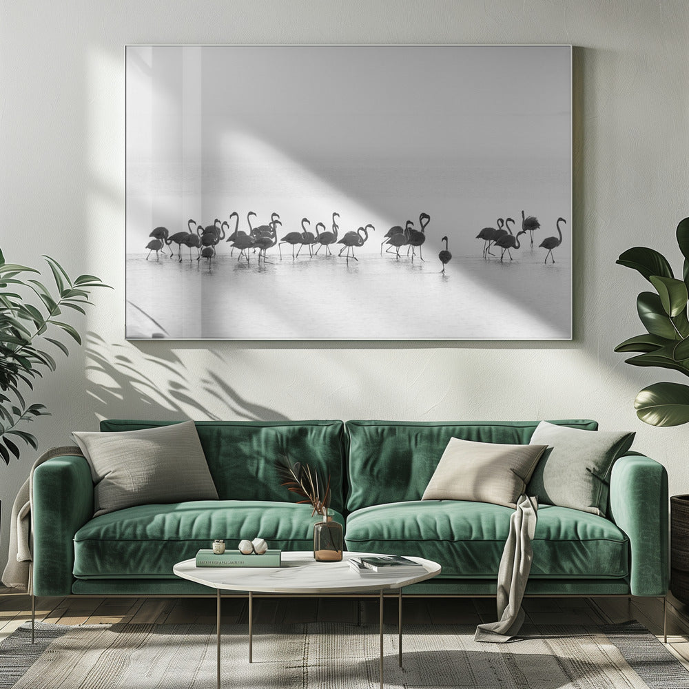 Artwork Flamingos20X16inches- White Frame