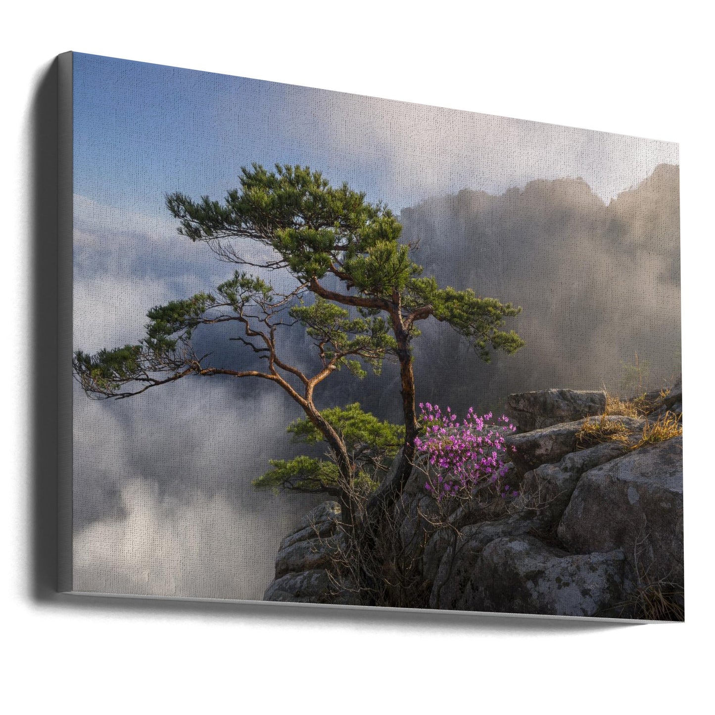 Dream dancer Wall Artwork Gallery Wrapped (Ready to Hang)