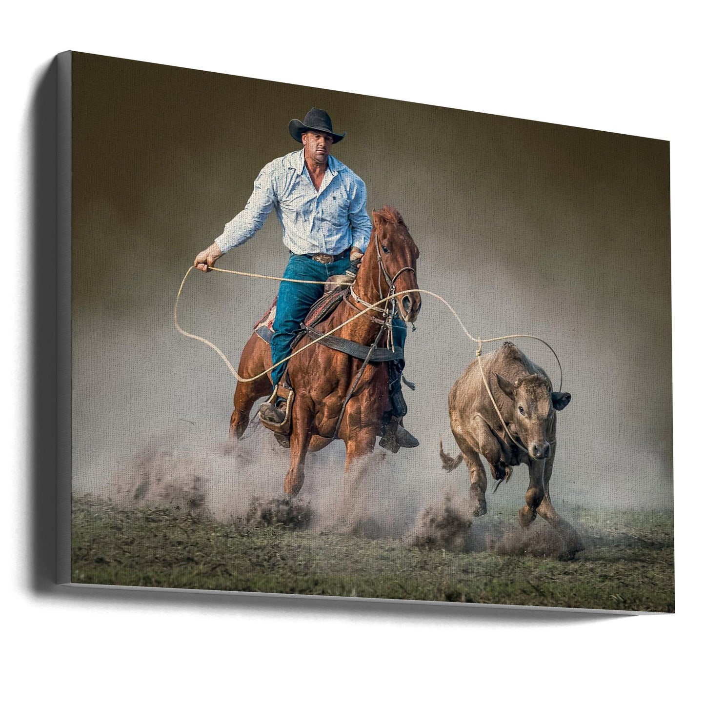 Roped Wall Artwork In Black Floating Frame