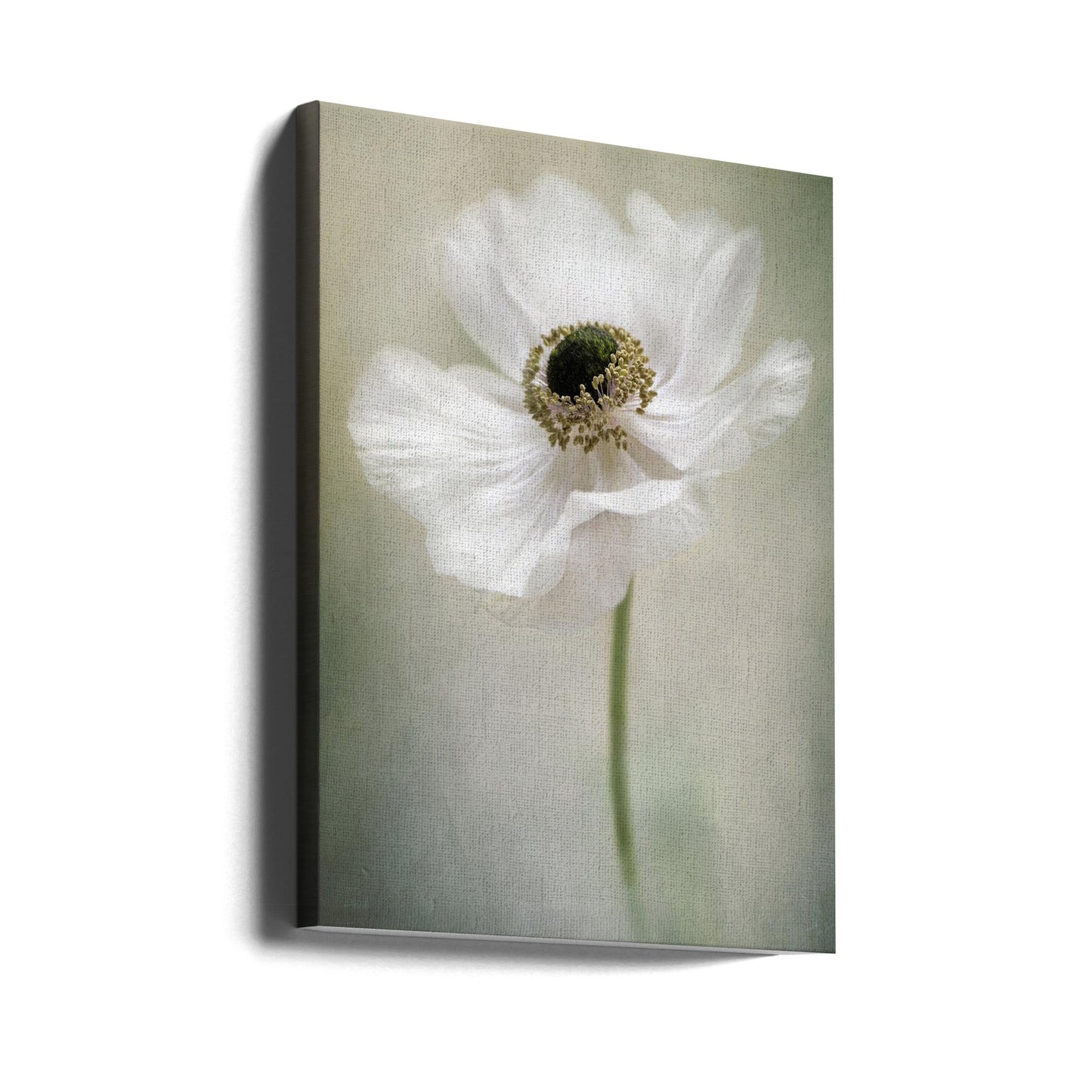 Single White Wall Artwork Gallery Wrapped (Ready to Hang)