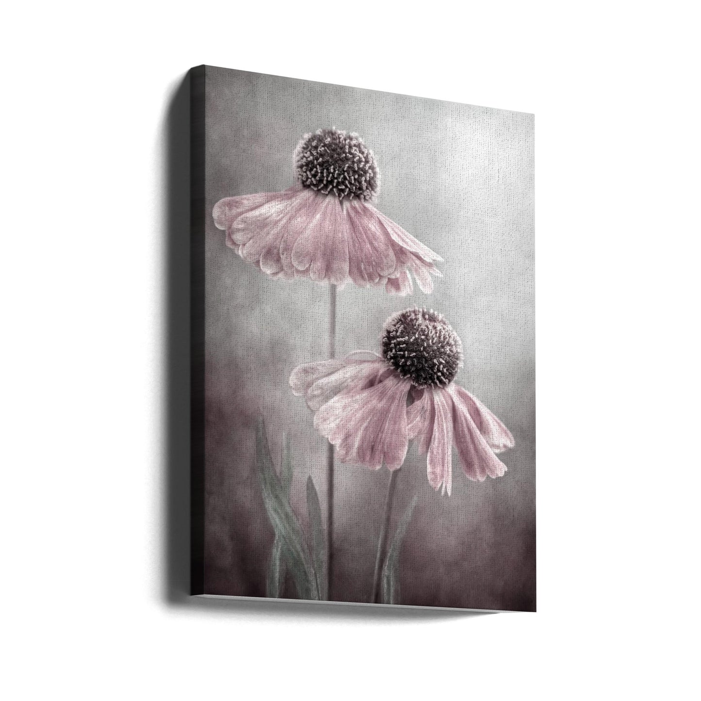 Duet Wall Artwork Gallery Wrapped (Ready to Hang)