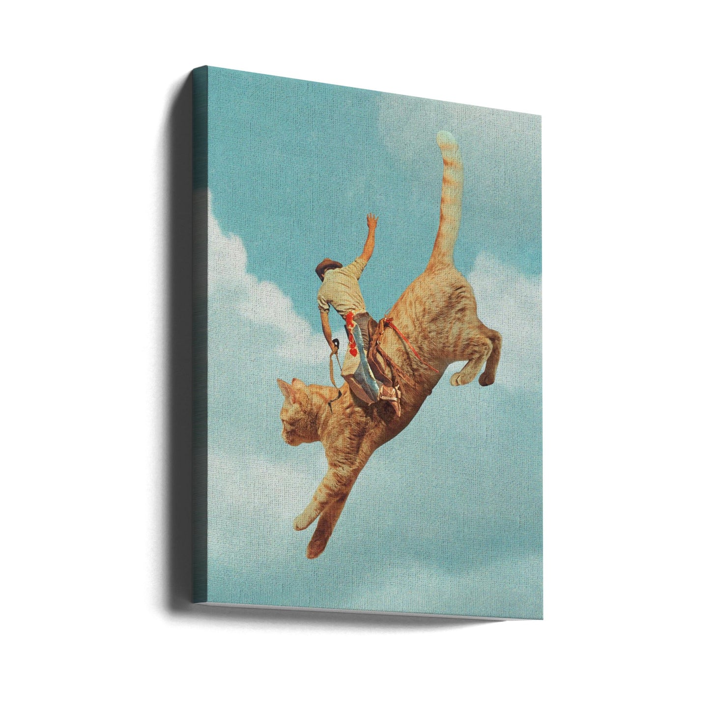 Meehaw Rodio Cat Wall Artwork Gallery Wrapped (Ready to Hang)