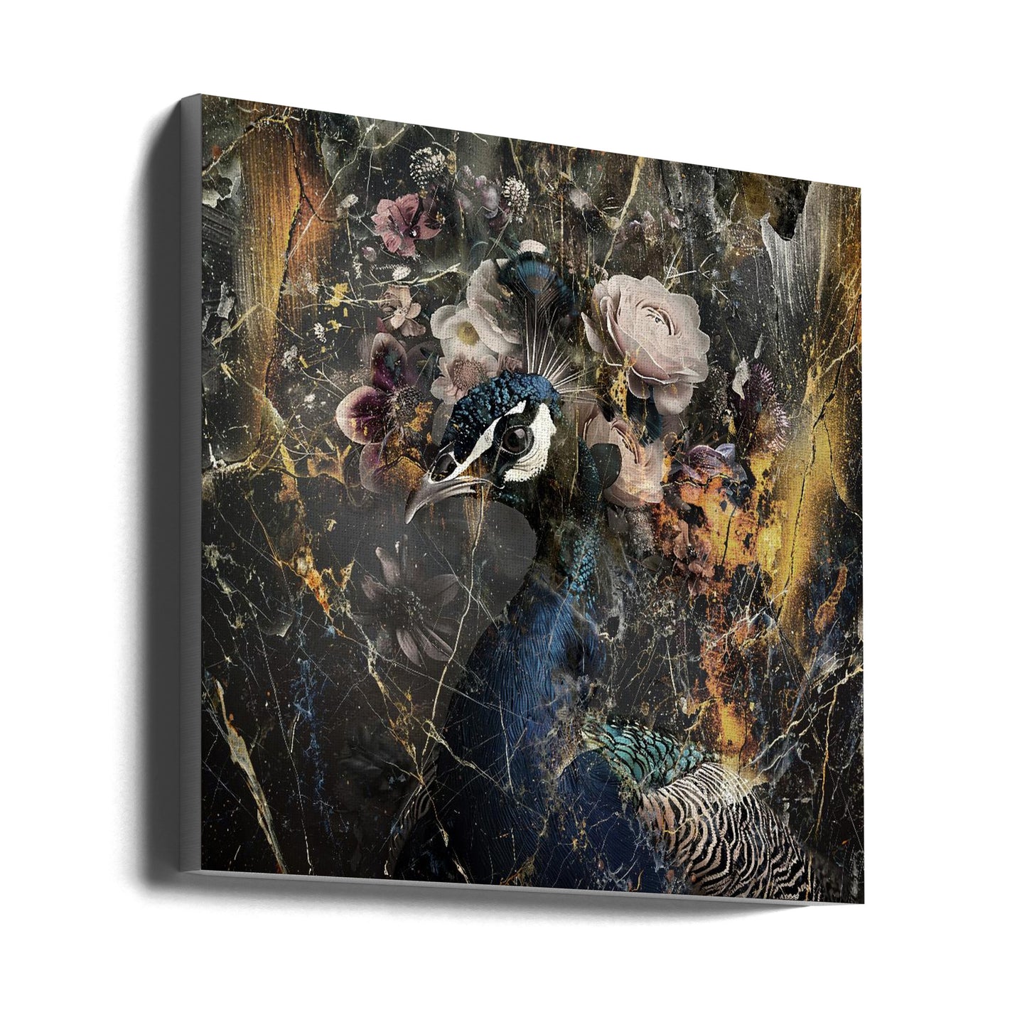 Peacock Animal Vintage Art Illustration Wallart 1 Wall Artwork Gallery Wrapped (Ready to Hang)