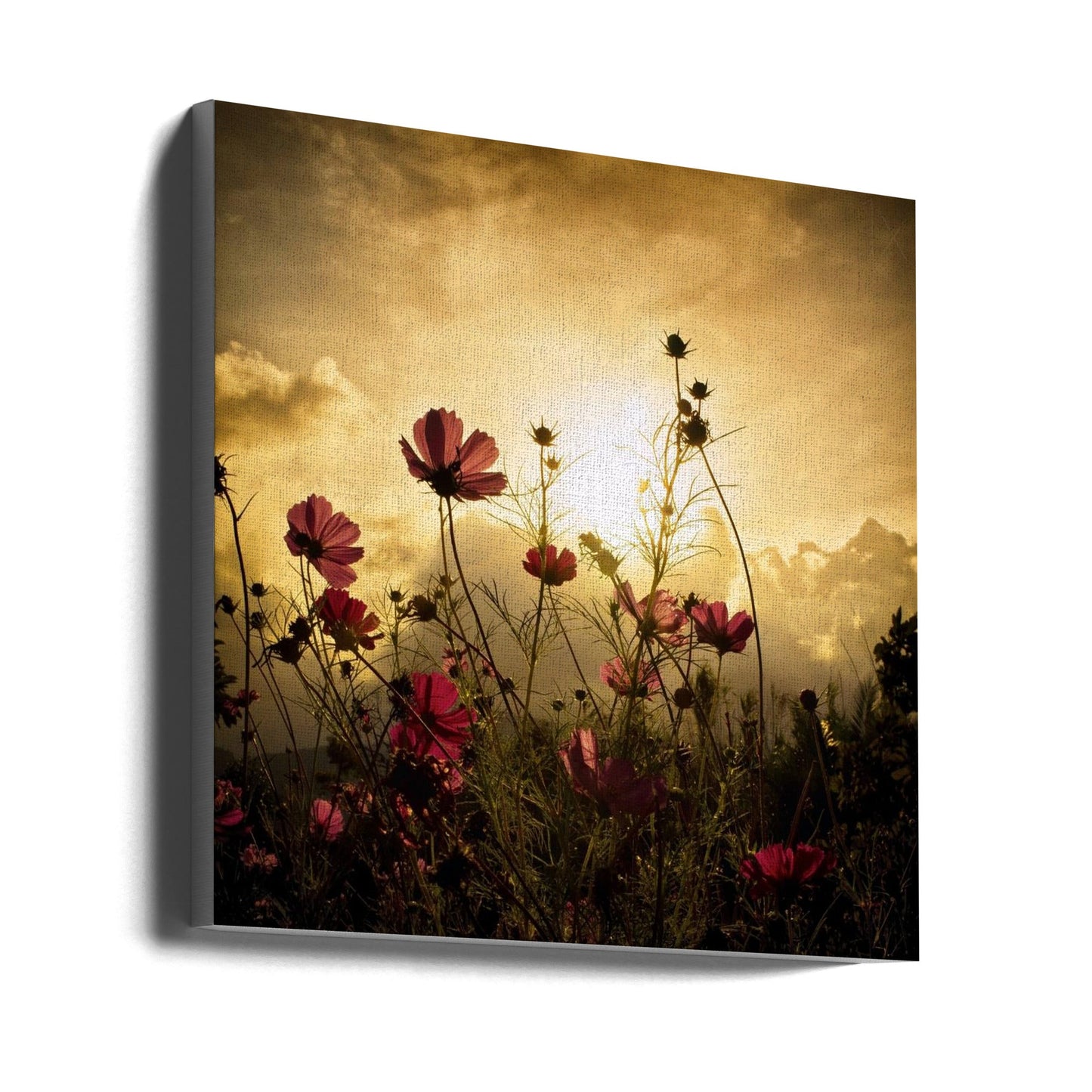 Watching the Sun Wall Artwork Gallery Wrapped (Ready to Hang)