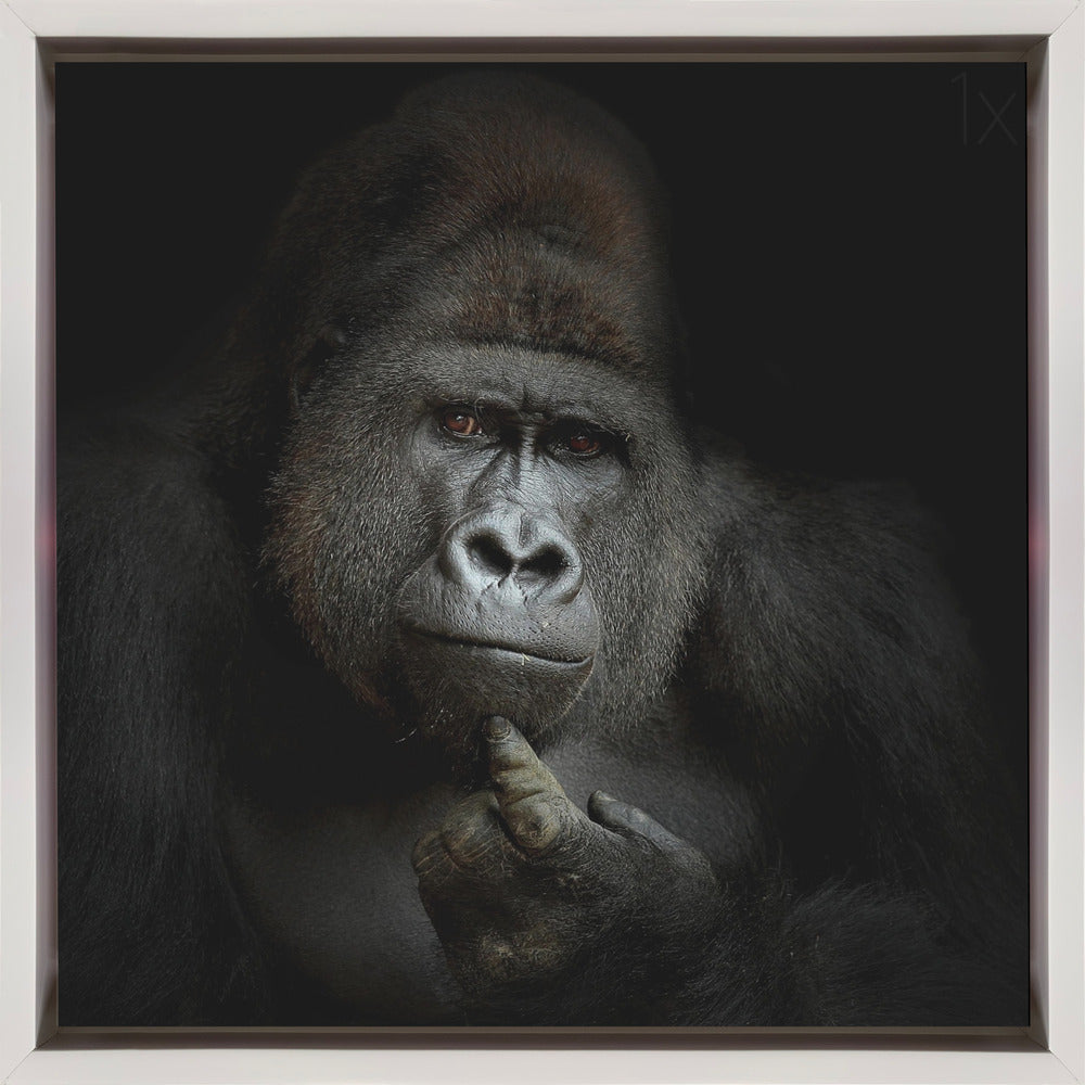 ego cogito, ergo sum Wall Artwork In Black Floating Frame