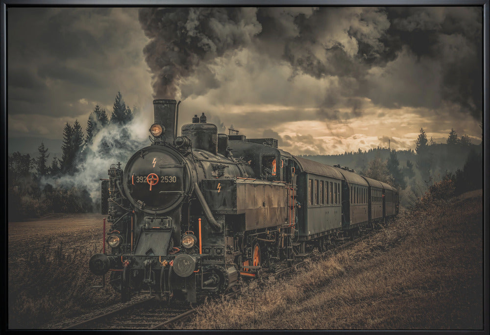 Gold digger train Wall Artwork In White Floating Frame