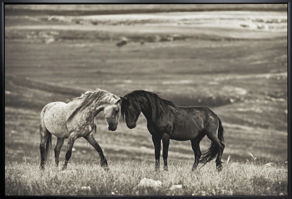 Artwork close encounter36X24inches- White Frame