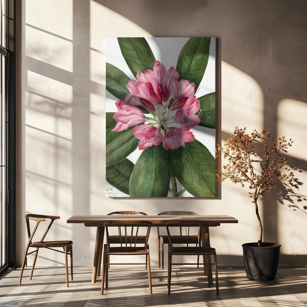 Mountain Rose Bay (1932) Wall Artwork In White Floating Frame