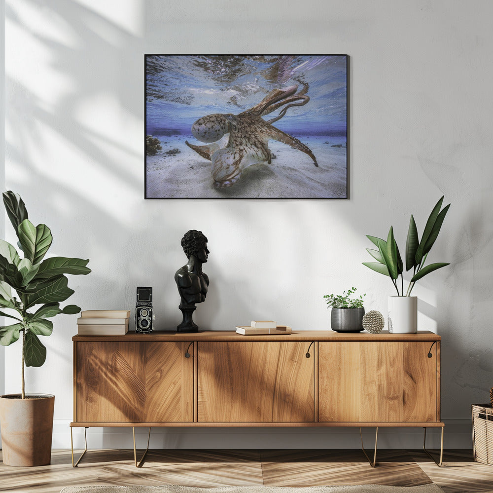 Dancing Octopus Wall Artwork In White Floating Frame