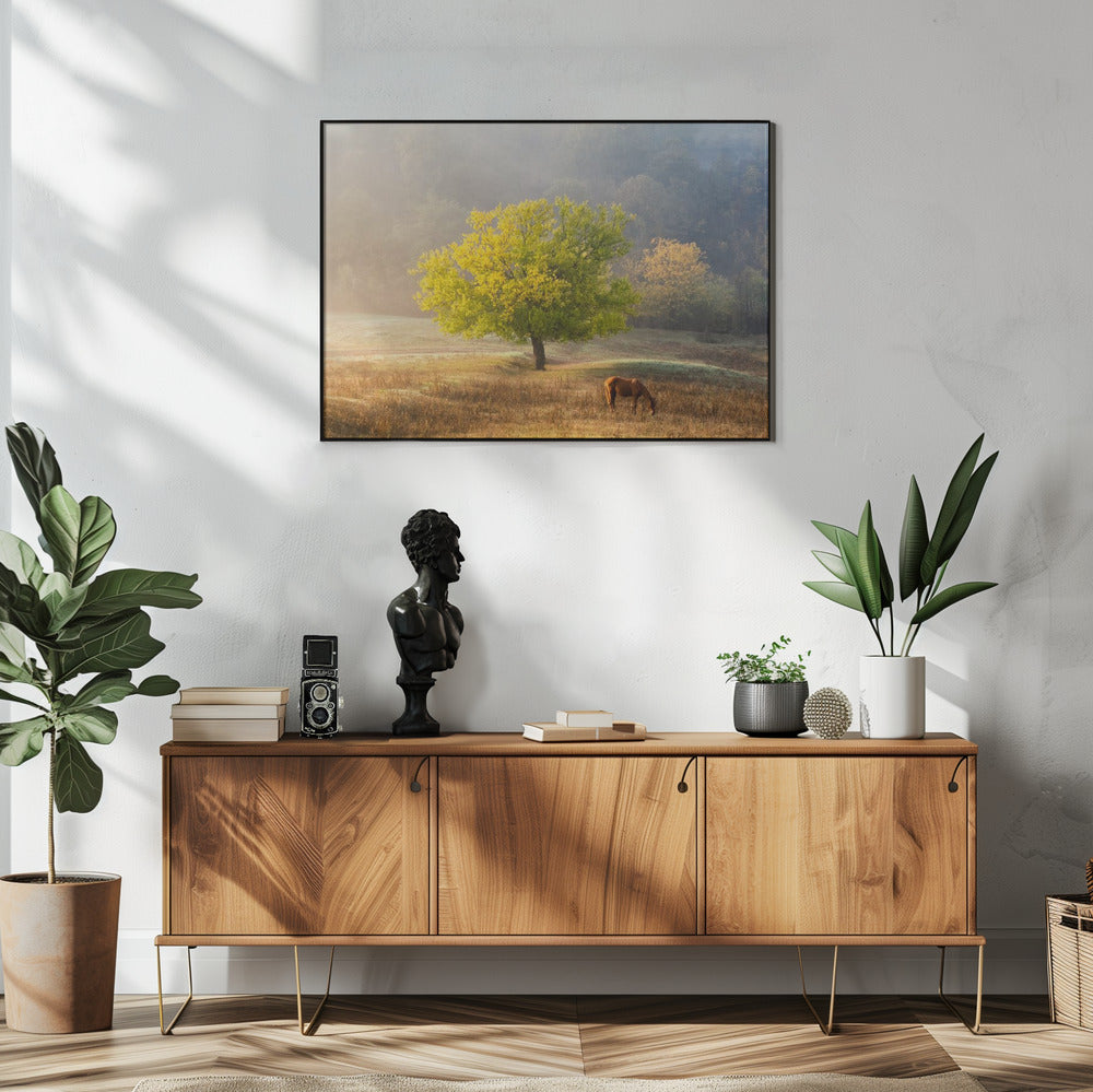 Tree of Life artwok Wall Artwork In White Floating Frame
