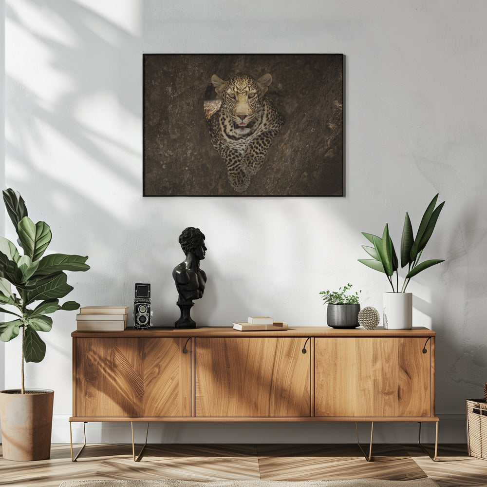 Artwork Leopard Resting on a Tree at Masai Mara48X36inches- White Frame