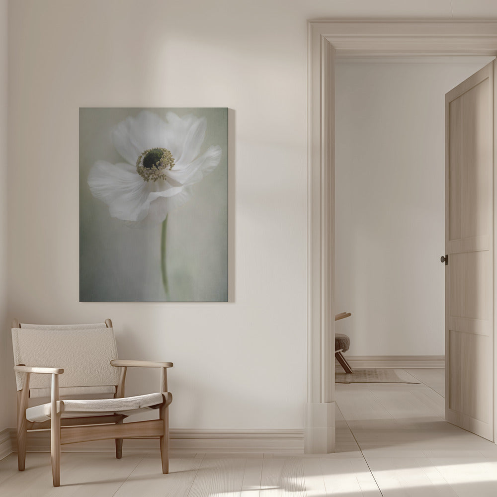 Single White Wall Artwork 0