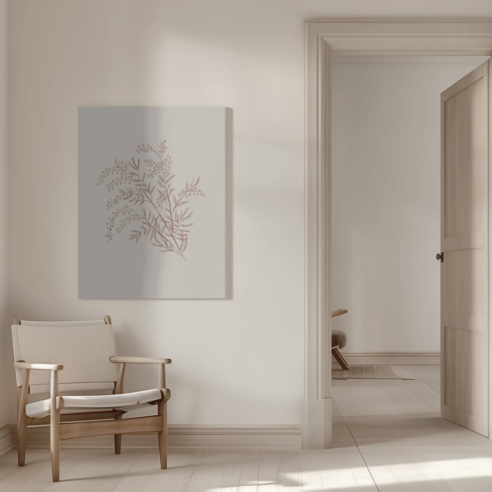 Artwork- Acacia Botanical Branch-36X48inches-In White Floating Frame