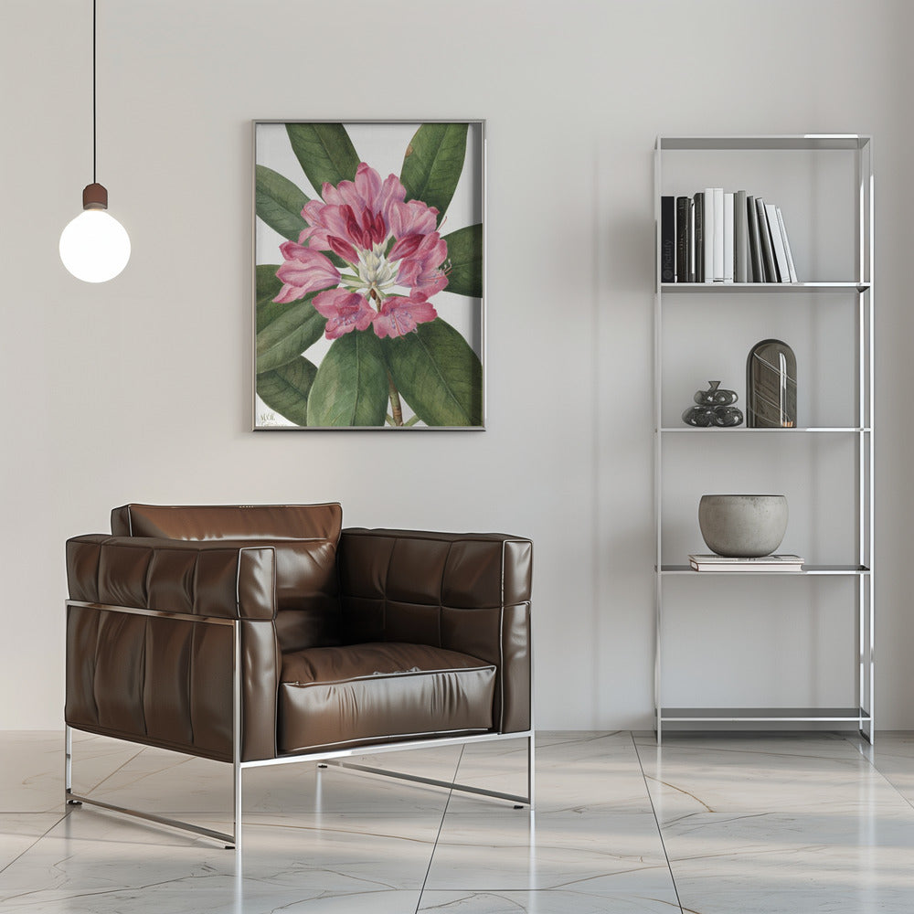 Mountain Rose Bay (1932) Wall Artwork 0