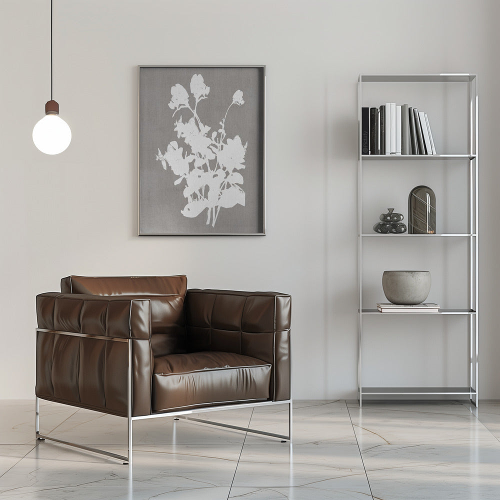 Artwork- Botanical Illustration 10-36X48inches-In Black Floating Frame
