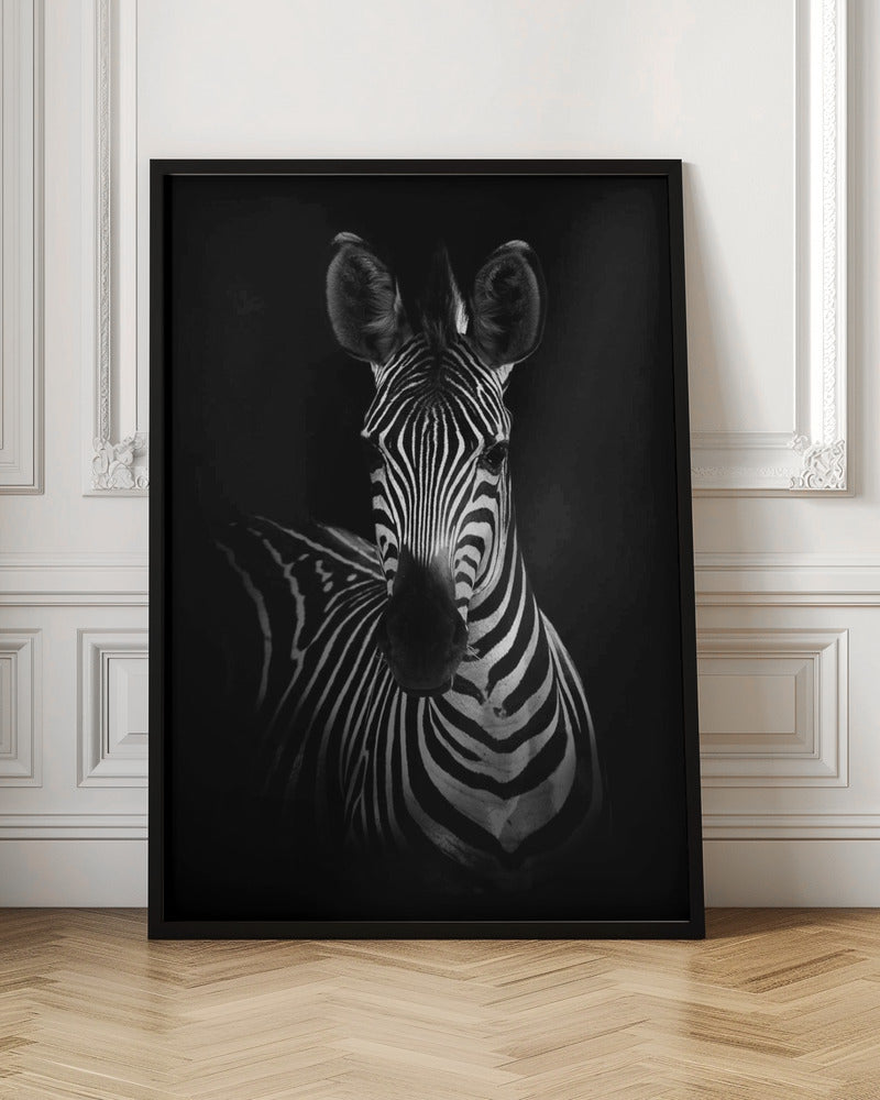 The Zebra Wall Artwork In Black Floating Frame