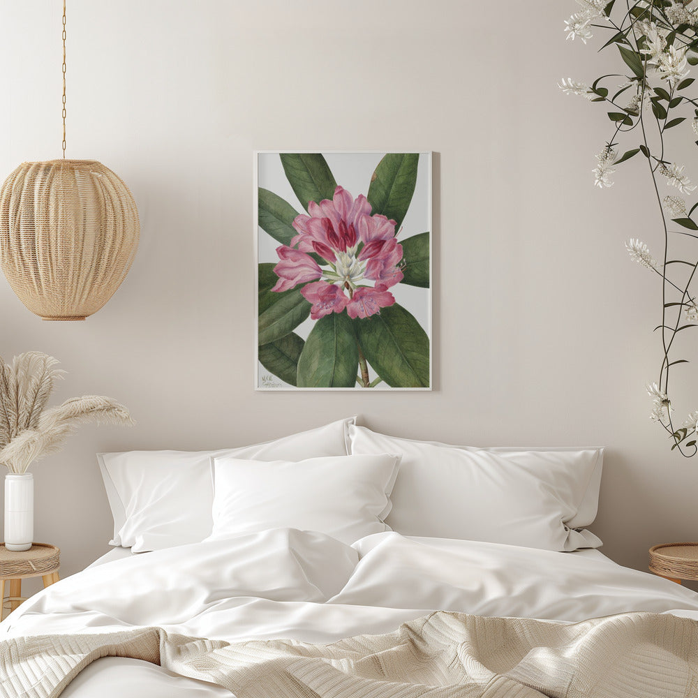 Mountain Rose Bay (1932) Wall Artwork 0