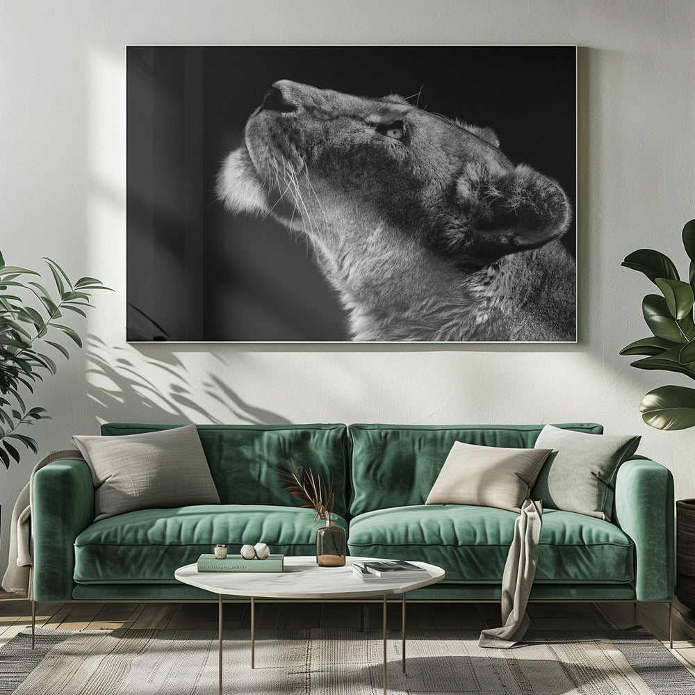 Looking Up Wall Artwork 0