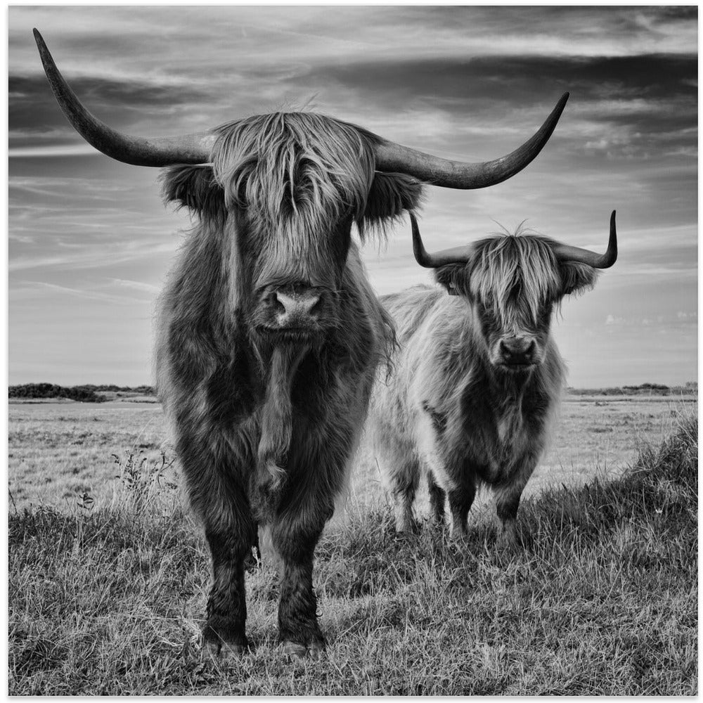 Highlands Wall Artwork In White Floating Frame