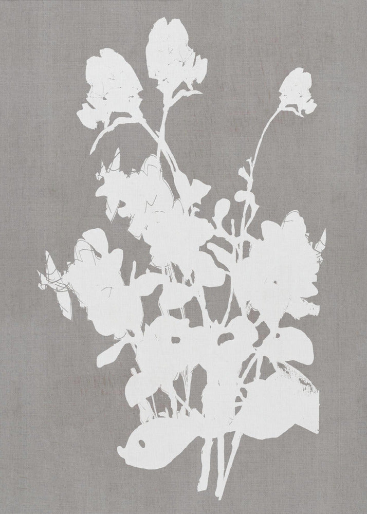 Artwork- Botanical Illustration 4-16X20inches-In Black Floating Frame