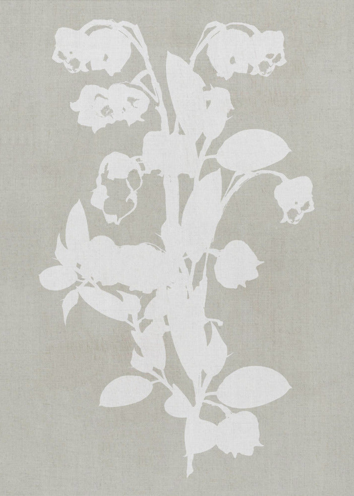 Artwork- Botanical Illustration 5-16X20inches-In Black Floating Frame