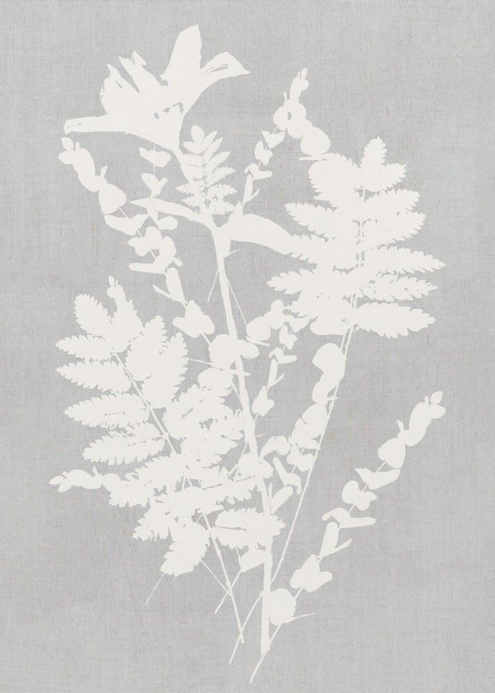 Artwork- Botanical Illustration 6-16X20inches-In Black Floating Frame