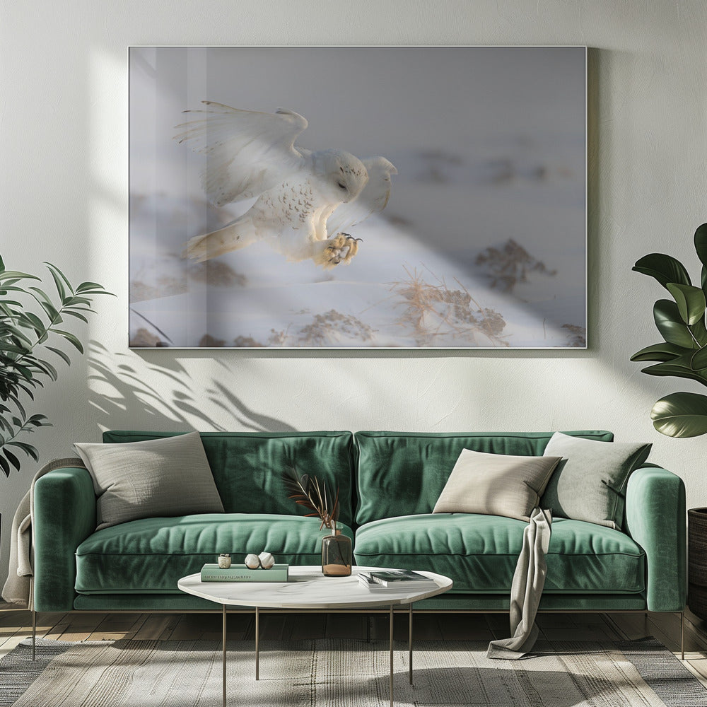 Wall art Landing-20X16inches-In White Floating Frame