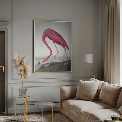  Pink Flamingo Ii From Birds of America (1827) Wall Artwork 0