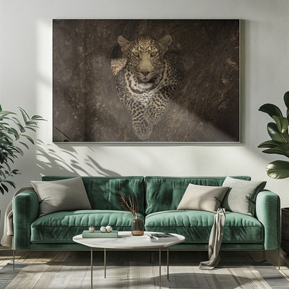 Artwork Leopard Resting on a Tree at Masai Mara20X16inches- White Frame