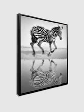 Zebra Canvas 36" x 48" 3648-088