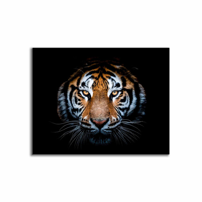 Tiger Head-Wildlife Canvas Art - Hand applied gold varnish