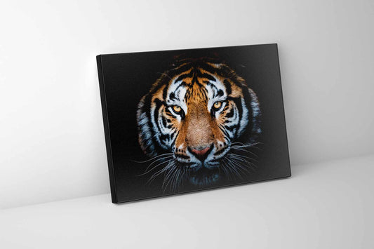 Tiger Head-Wildlife Canvas Art - Hand applied gold varnish