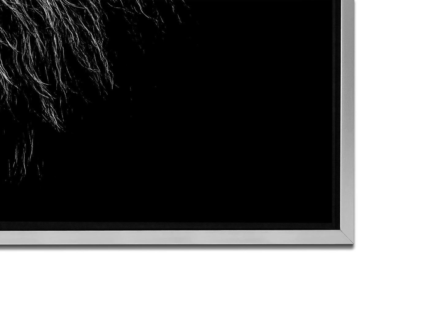 Wildlife Canvas Art-Lions Head Blue Eye in Black and White -Silver varnish