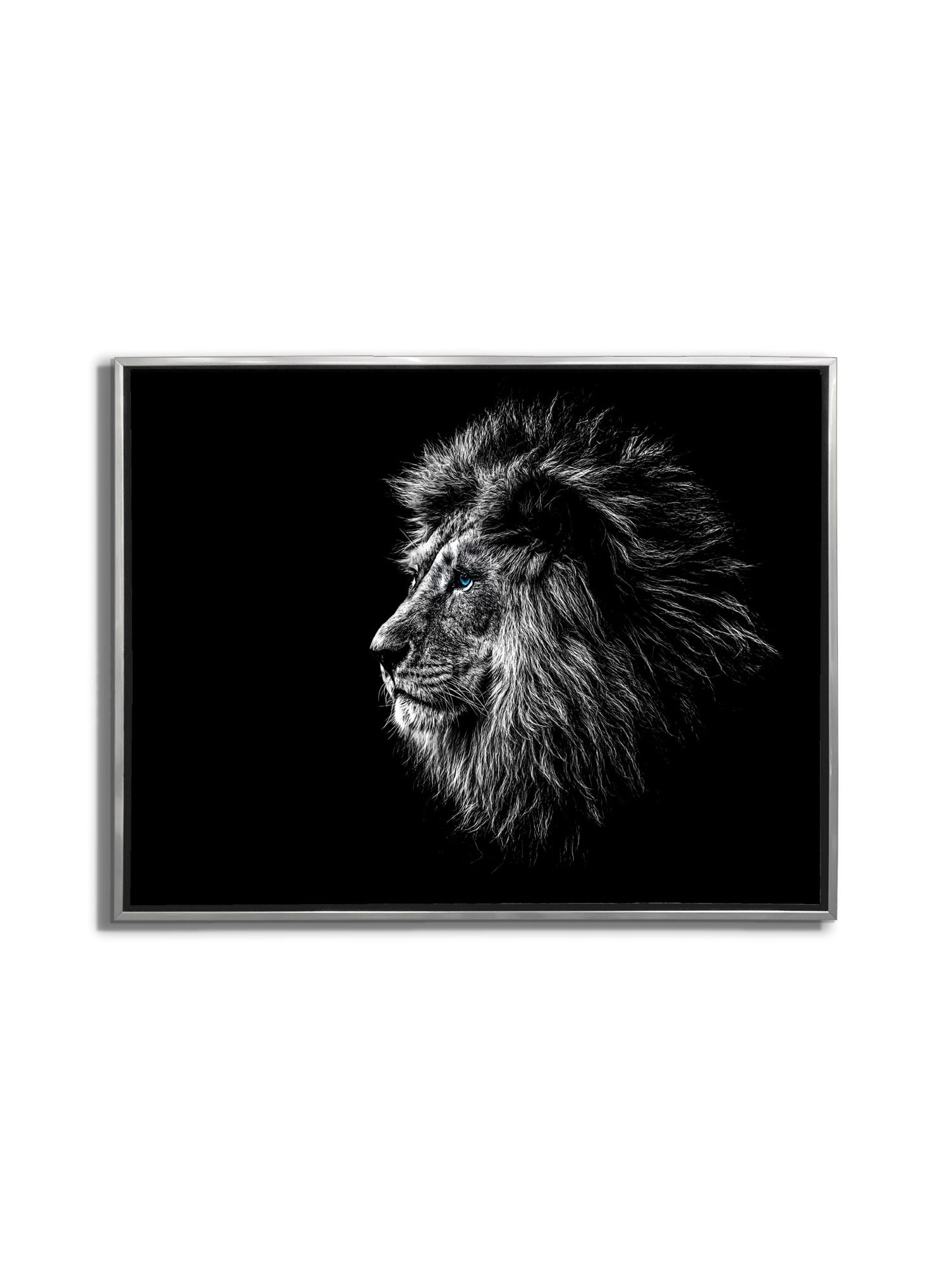 Wildlife Canvas Art-Lions Head Blue Eye in Black and White -Silver varnish