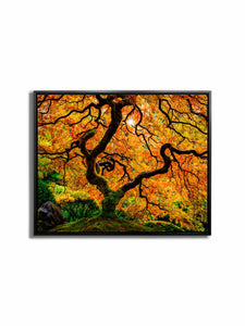 Oil Paint Artistic Tree 48" x 36" with Multi Color Shimmering Top Coat 4836-065