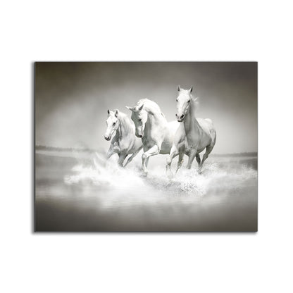 Black and White Stallions - Animal Print Canvas-Fine Art - Dimond Varnish