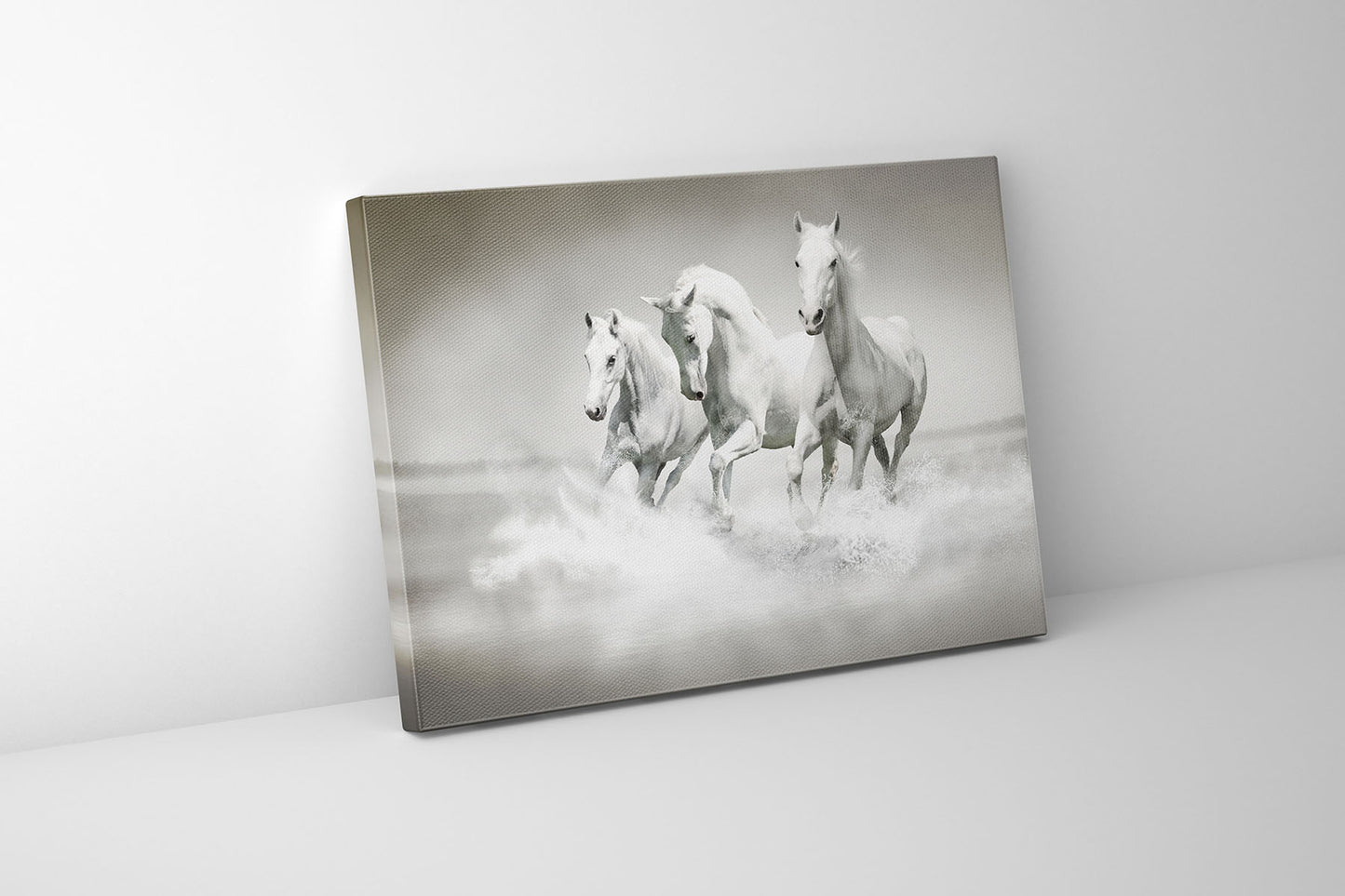 Black and White Stallions - Animal Print Canvas-Fine Art - Dimond Varnish