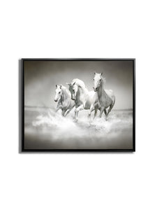 Black and White Stallions - Animal Print Canvas-Fine Art - Dimond Varnish