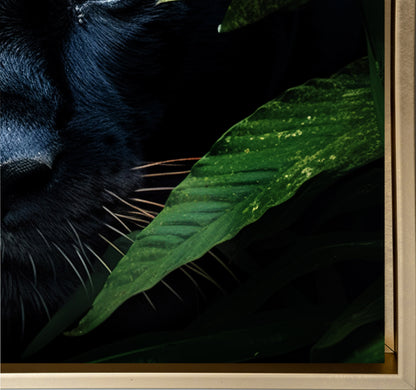 Wildlife Canvas Art - Rare Black Jaguar - Wall Decor-RGB Vanish Wall Artwork 0