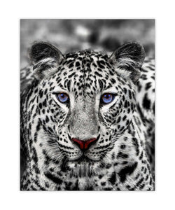 Canvas print-Black & Blue Tiger- Wildlife art