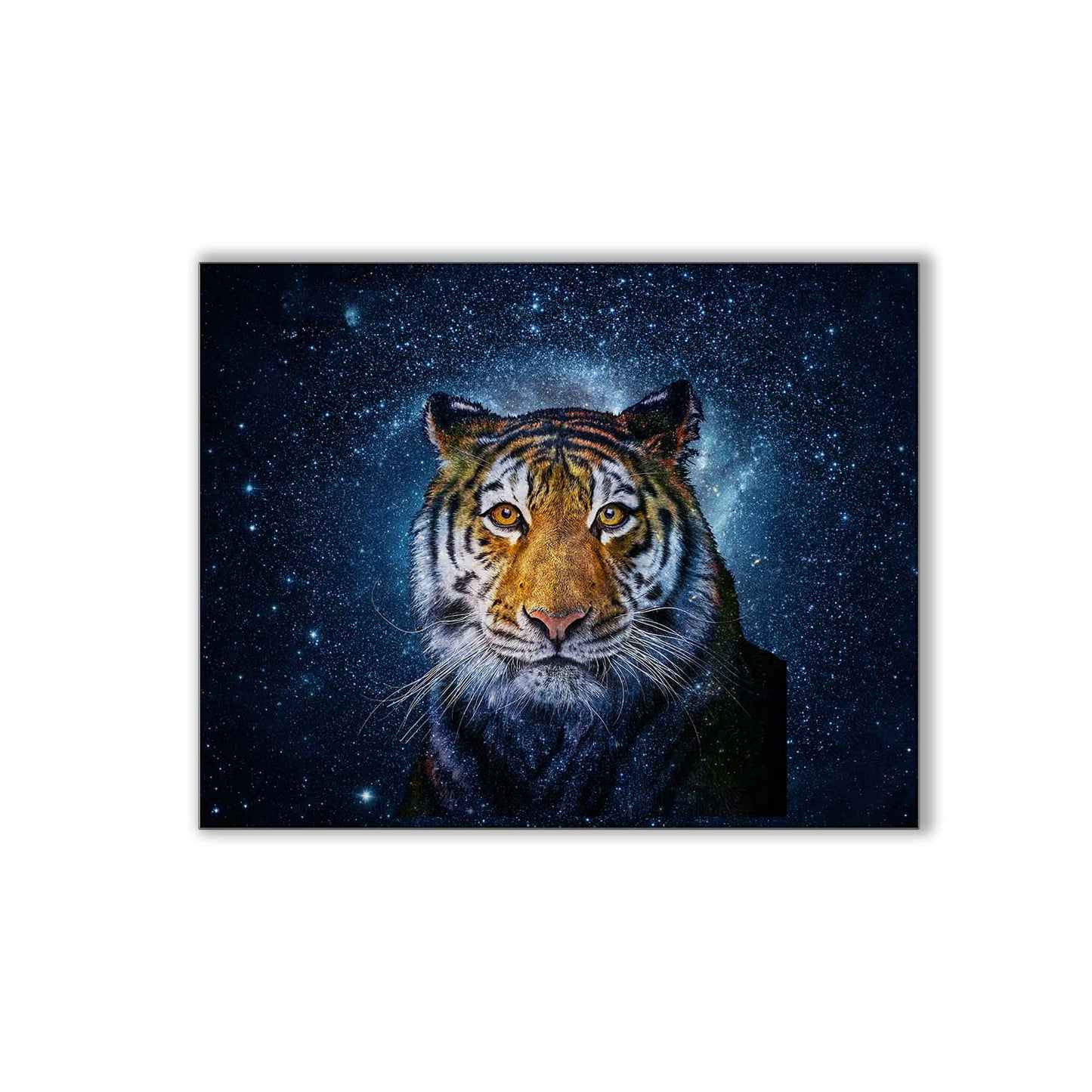 Detailed Tiger Head with Celestial Background 48X36