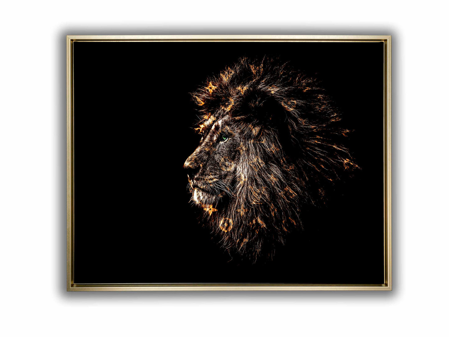 Rich Gold Emblazoned Lion 48" x 36" Fine Art Canvas